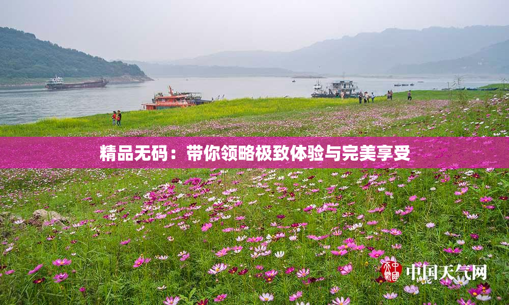 精品无码：带你领略极致体验与完美享受