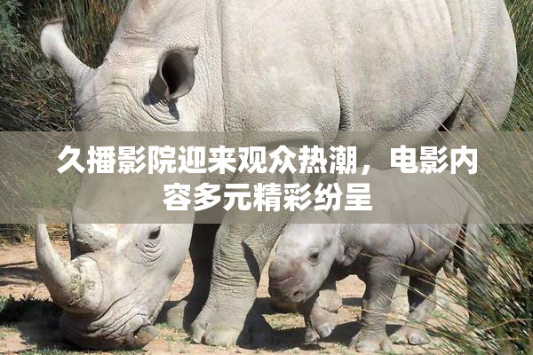 久播影院迎来观众热潮，电影内容多元精彩纷呈