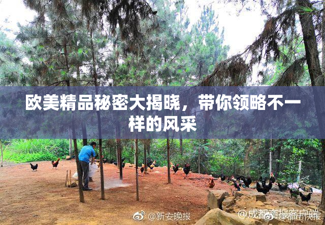 欧美精品秘密大揭晓，带你领略不一样的风采