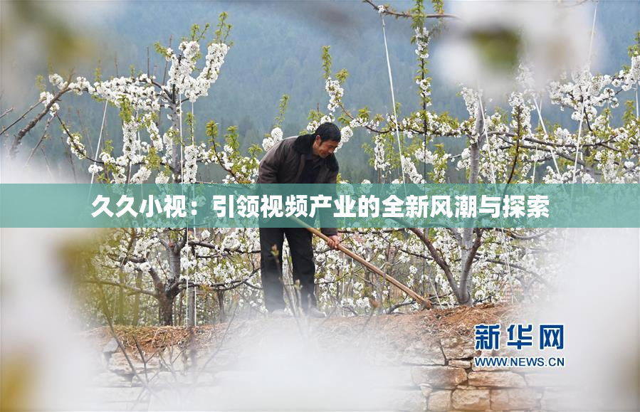 久久小视：引领视频产业的全新风潮与探索