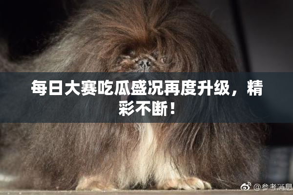 每日大赛吃瓜盛况再度升级，精彩不断！