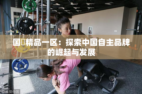 国產精品一区：探索中国自主品牌的崛起与发展