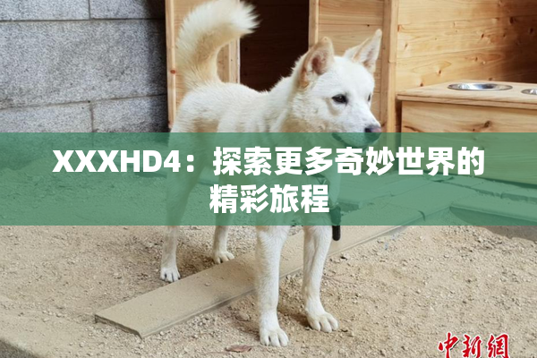 XXXHD4：探索更多奇妙世界的精彩旅程