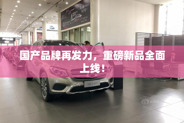 国产品牌再发力，重磅新品全面上线！