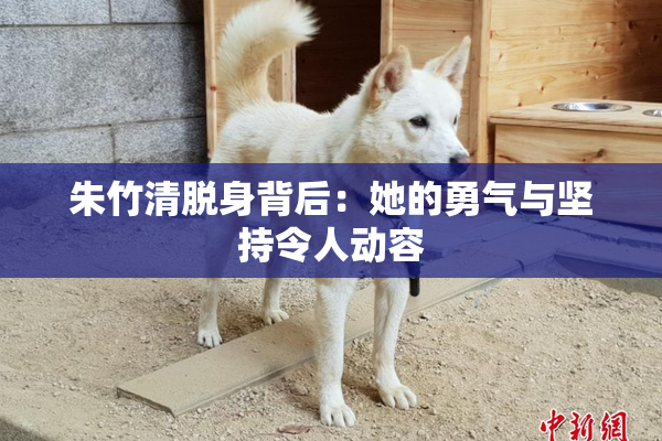 朱竹清脱身背后：她的勇气与坚持令人动容