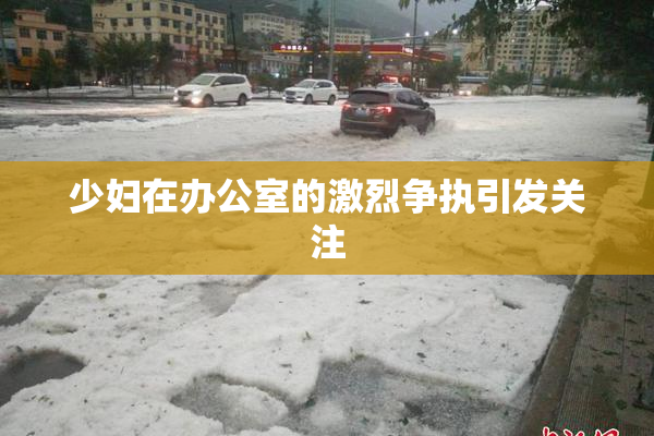 少妇在办公室的激烈争执引发关注