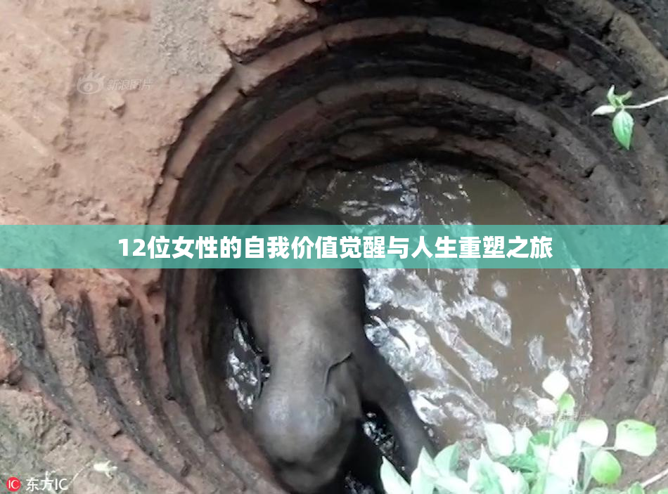 12位女性的自我价值觉醒与人生重塑之旅