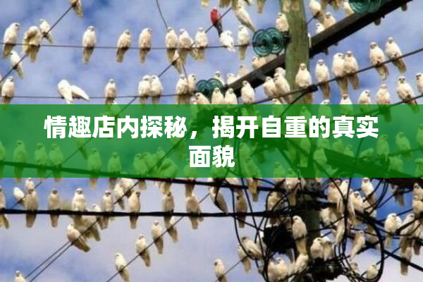 情趣店内探秘，揭开自重的真实面貌