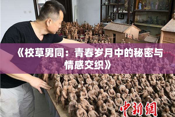 《校草男同：青春岁月中的秘密与情感交织》
