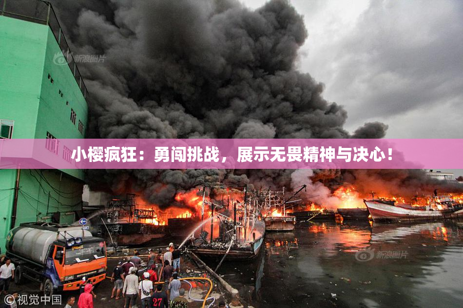小樱疯狂：勇闯挑战，展示无畏精神与决心！