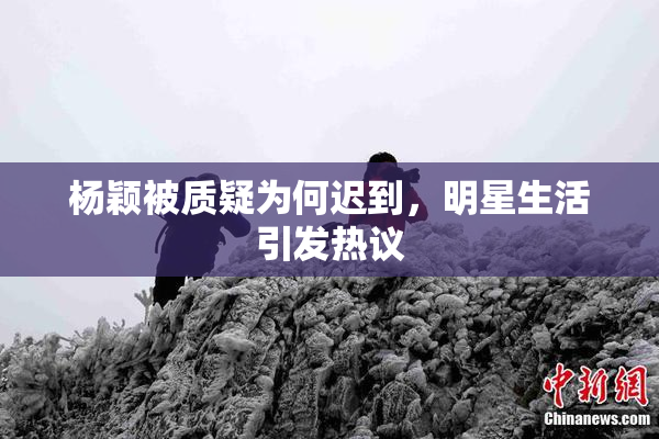 杨颖被质疑为何迟到，明星生活引发热议