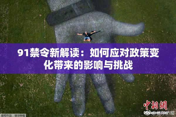 91禁令新解读：如何应对政策变化带来的影响与挑战
