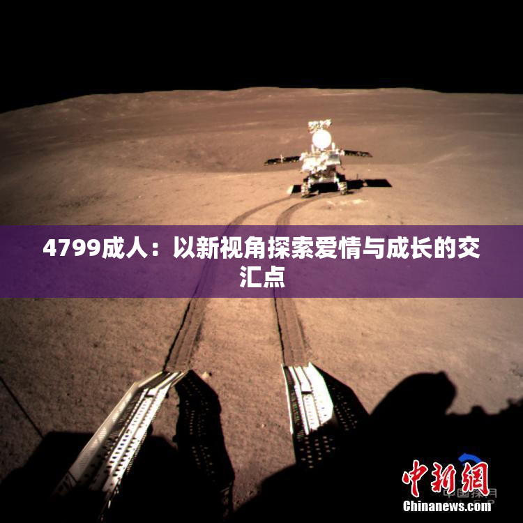 4799成人：以新视角探索爱情与成长的交汇点