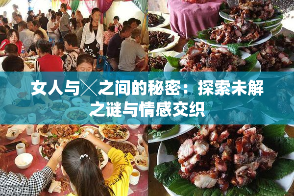 女人与╳之间的秘密：探索未解之谜与情感交织