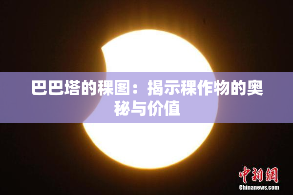 巴巴塔的稞图：揭示稞作物的奥秘与价值