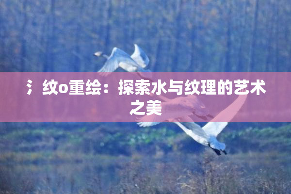 氵纹o重绘：探索水与纹理的艺术之美