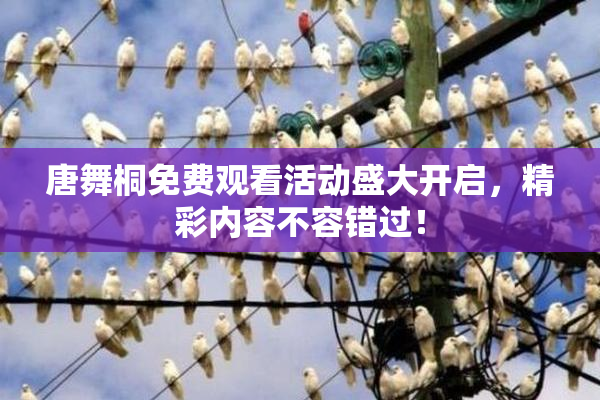 唐舞桐免费观看活动盛大开启，精彩内容不容错过！