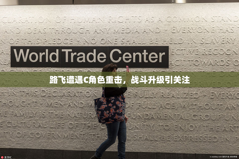 路飞遭遇C角色重击，战斗升级引关注