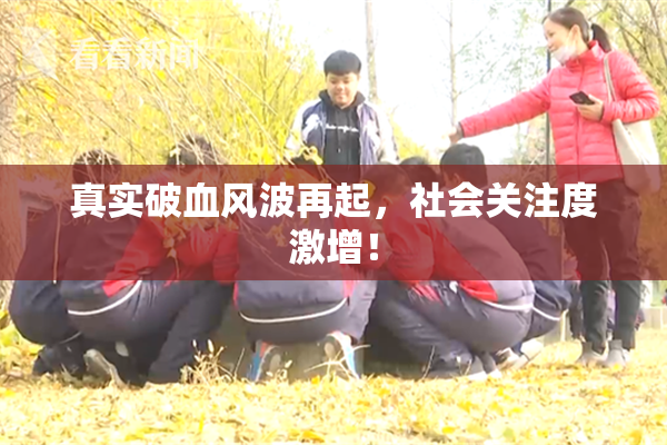 真实破血风波再起，社会关注度激增！