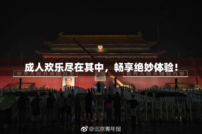 成人欢乐尽在其中，畅享绝妙体验！