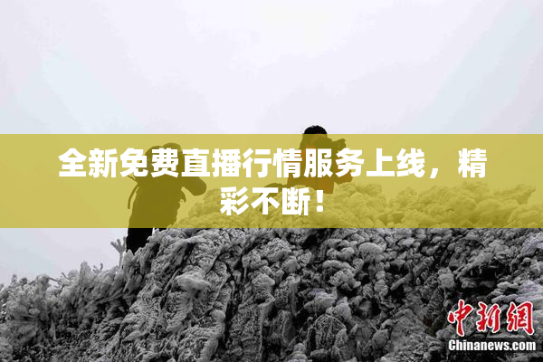 全新免费直播行情服务上线，精彩不断！