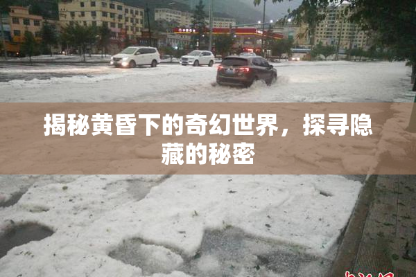 揭秘黄昏下的奇幻世界，探寻隐藏的秘密