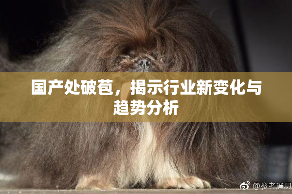 国产处破苞，揭示行业新变化与趋势分析