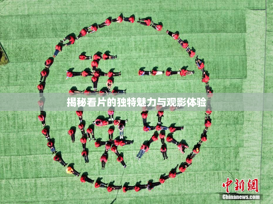 揭秘看片的独特魅力与观影体验