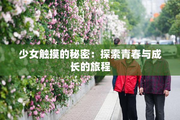 少女触摸的秘密：探索青春与成长的旅程
