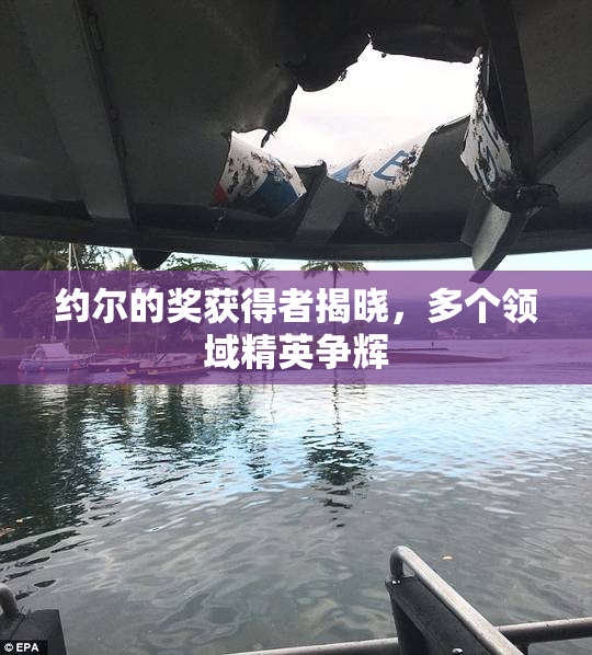 约尔的奖获得者揭晓，多个领域精英争辉