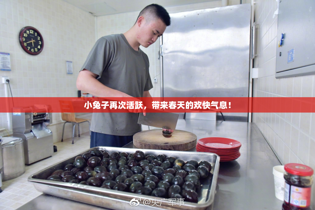 小兔子再次活跃，带来春天的欢快气息！