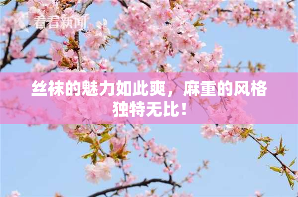 丝袜的魅力如此爽，麻重的风格独特无比！