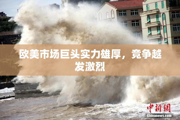 欧美市场巨头实力雄厚，竞争越发激烈