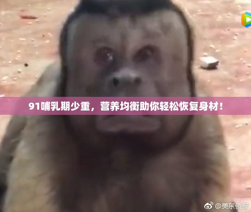 91哺乳期少重，营养均衡助你轻松恢复身材！