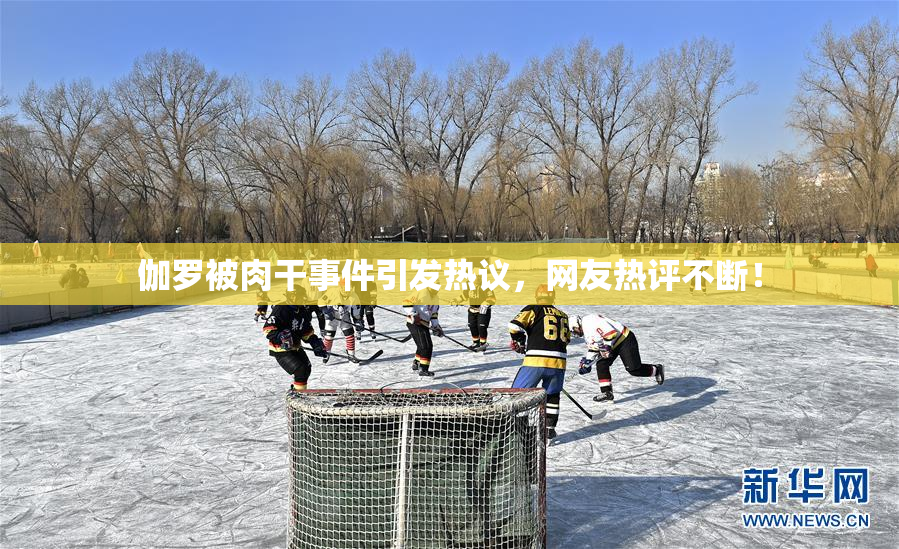 伽罗被肉干事件引发热议，网友热评不断！