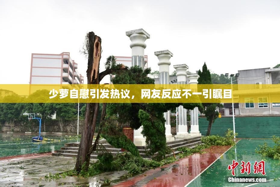 少萝自慰引发热议，网友反应不一引瞩目