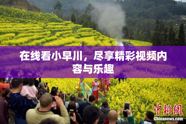 在线看小早川，尽享精彩视频内容与乐趣