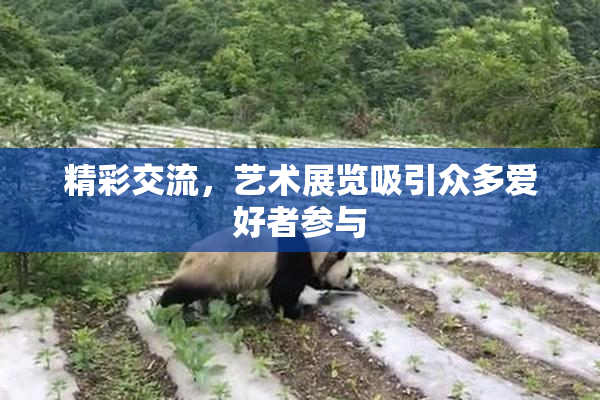 精彩交流，艺术展览吸引众多爱好者参与