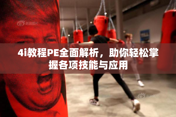 4i教程PE全面解析，助你轻松掌握各项技能与应用
