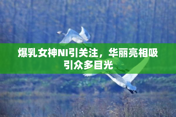爆乳女神NI引关注，华丽亮相吸引众多目光
