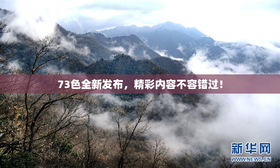 73色全新发布，精彩内容不容错过！