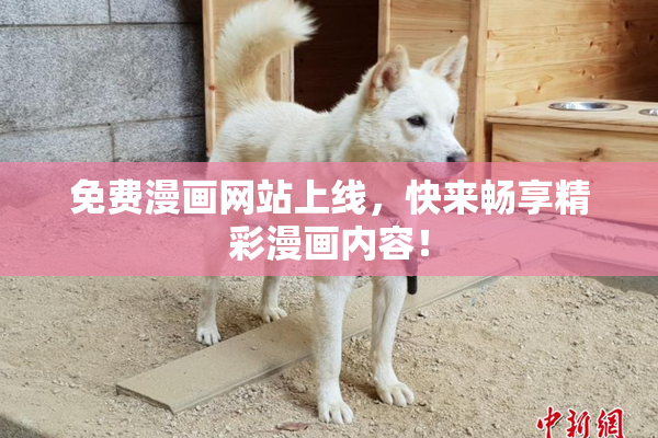 免费漫画网站上线，快来畅享精彩漫画内容！