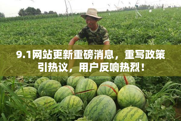 9.1网站更新重磅消息，重写政策引热议，用户反响热烈！
