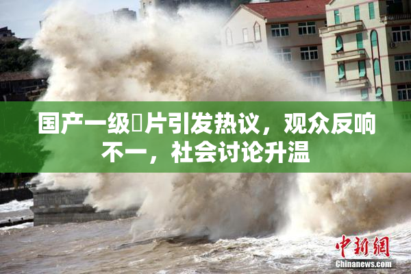 国产一级婬片引发热议，观众反响不一，社会讨论升温