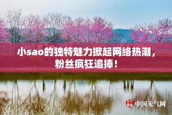 小sao的独特魅力掀起网络热潮，粉丝疯狂追捧！