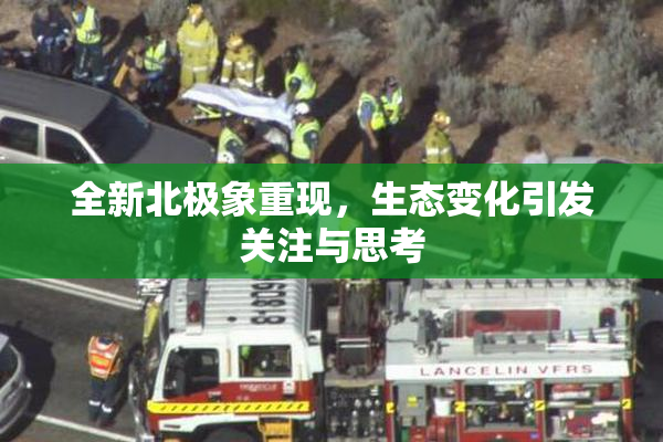 全新北极象重现，生态变化引发关注与思考