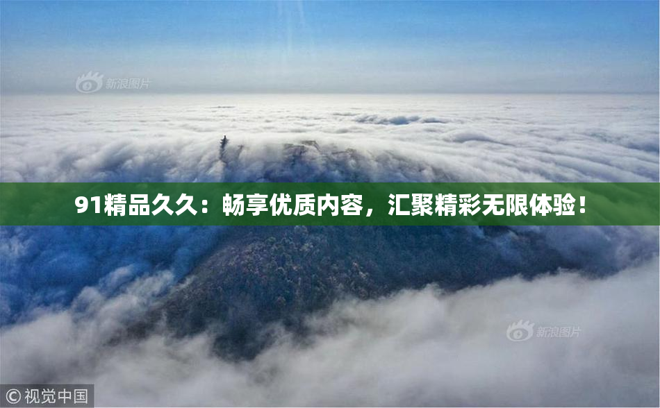 91精品久久：畅享优质内容，汇聚精彩无限体验！