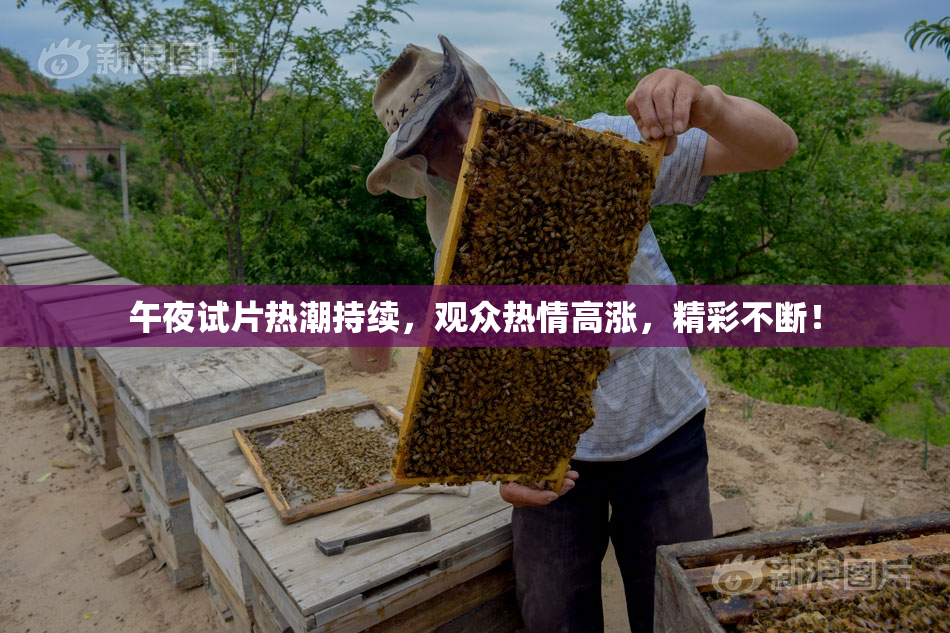 午夜试片热潮持续，观众热情高涨，精彩不断！