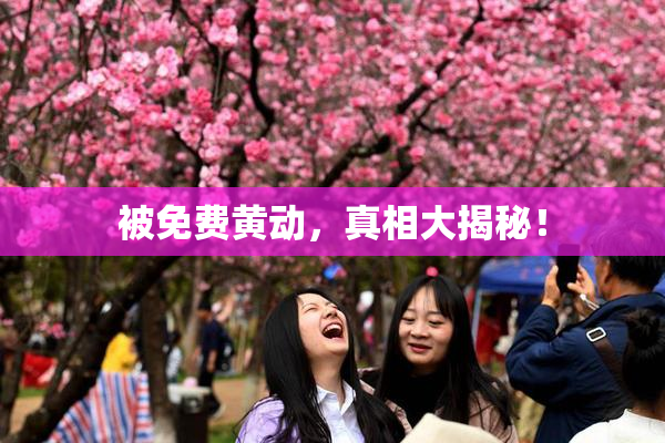 被免费黄动，真相大揭秘！