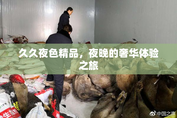 久久夜色精品，夜晚的奢华体验之旅